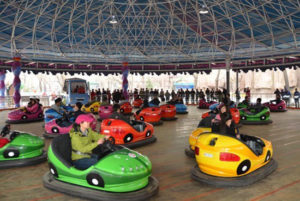 bertazzon dodgem cars