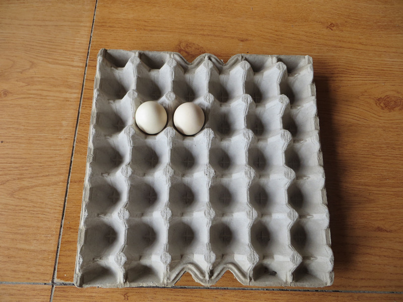 Egg Tray Produced by Beston Egg Tray Machine for Sale
