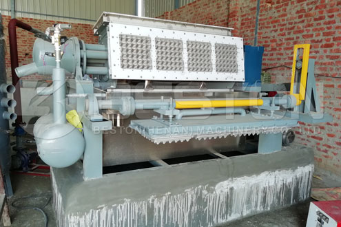 Get Seedling Tray Making Machine - Beston Machinery